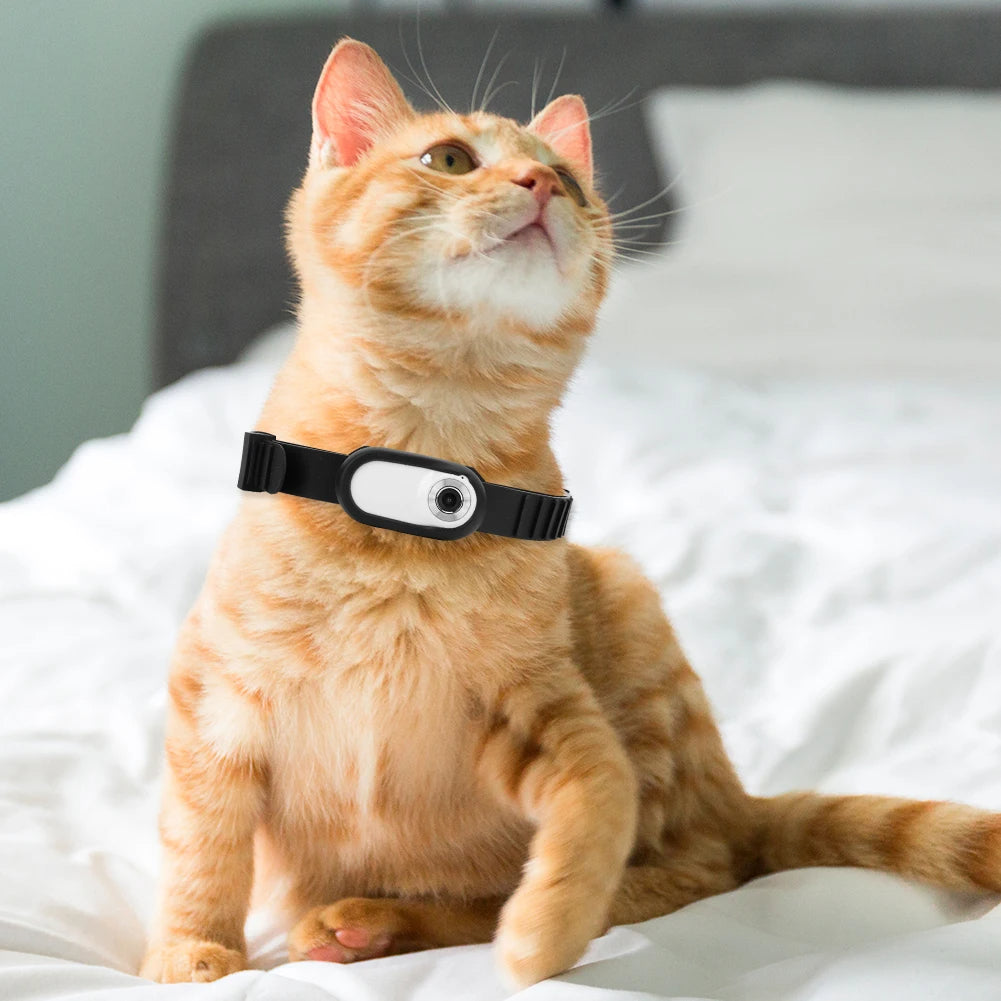 Pet Collar Camera